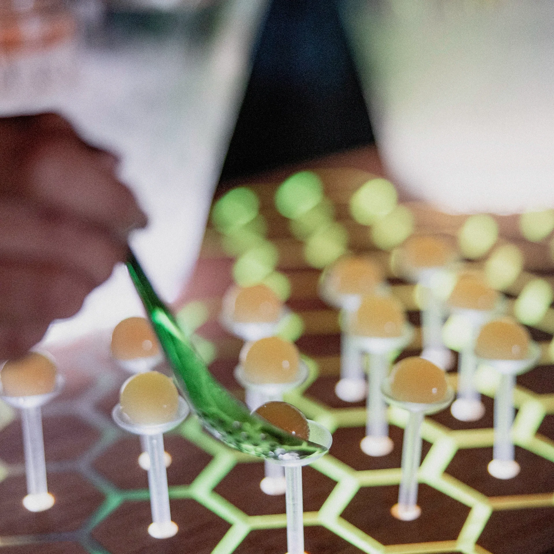 Aperitivos de autor del catering